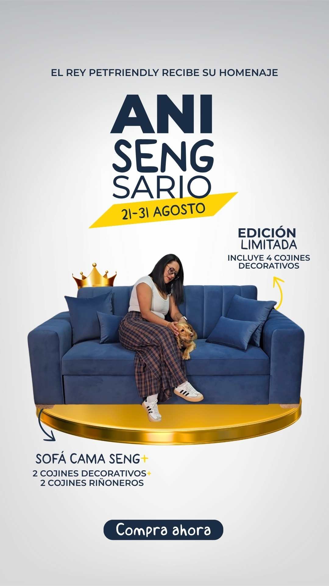 sofa-cama-seng